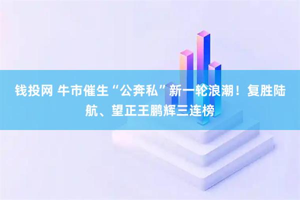 钱投网 牛市催生“公奔私”新一轮浪潮！复胜陆航、望正王鹏辉三连榜