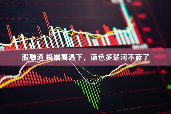 股融通 极端高温下，蓝色多瑙河不蓝了